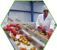 Industrie agro-alimentaire
